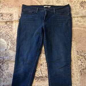 Classic Indigo Skinny Jeans